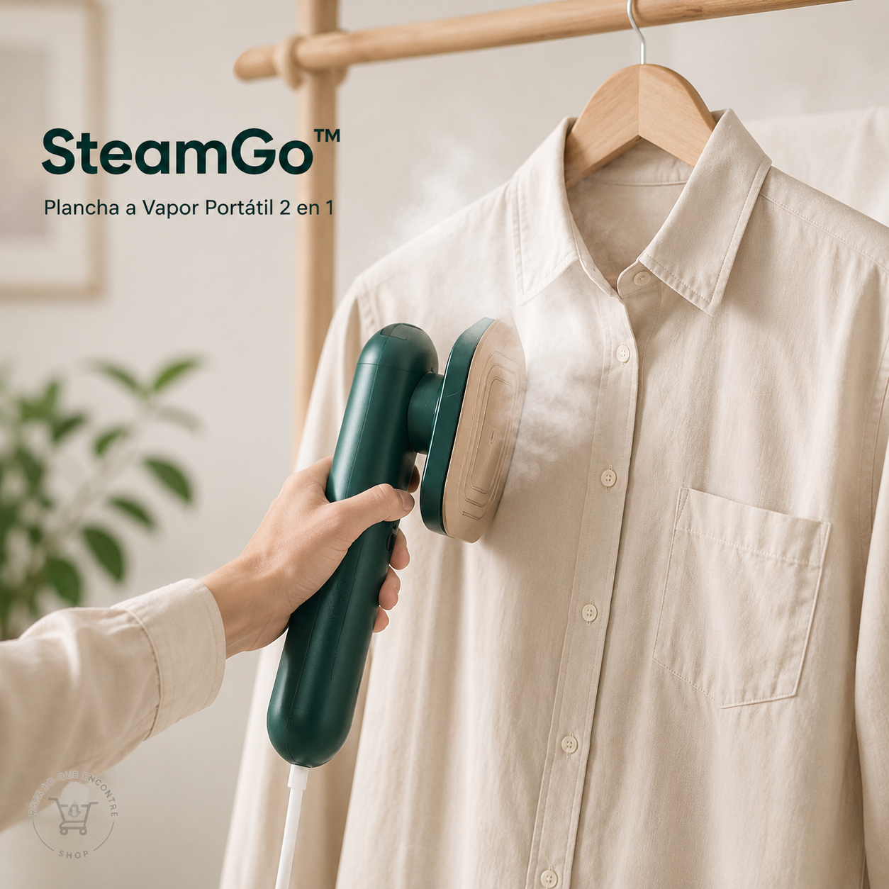 Steam Go™